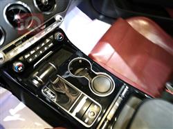 کیا ستینگەر